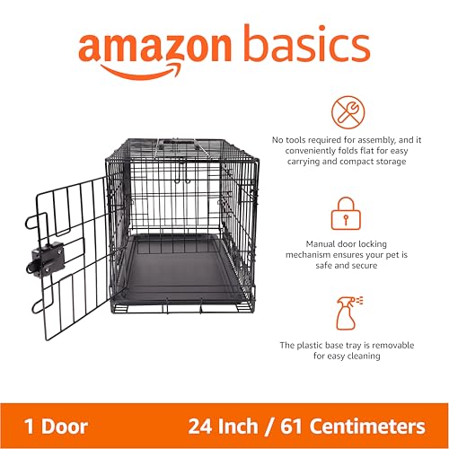 Amazon Basics Portable, Foldable Metal Wire Small Dog Crate with Removable Tray, Divider Panel, Single Door, Easy to Assemble, 24" x 18" x 20", Black - size: 24 x 18 x 20 in, style: Single Door w/ Divider