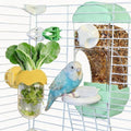 Automatic Bird Cage Feeder No Mess Bird Feeding Station Parrot Vegetable Holder Fruit Clips for Parakeet Cockatoo Canary Lovebirds Budgie (Blue) - color: Blue