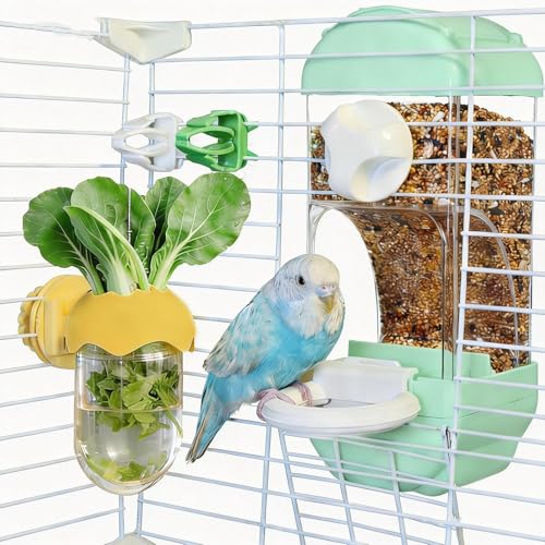 Automatic Bird Cage Feeder No Mess Bird Feeding Station Parrot Vegetable Holder Fruit Clips for Parakeet Cockatoo Canary Lovebirds Budgie (Blue) - color: Blue
