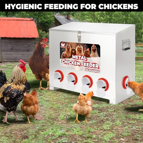 Chicken Feeder 85LB,6-Port Metal Poultry Feeder for Chickens, Poultry Coop | No Waste with Locking Lid&Riveted Handles,Adjustable Height,Large Capacity Rainproof Automatic Chicken Feeders - size: 85lbs