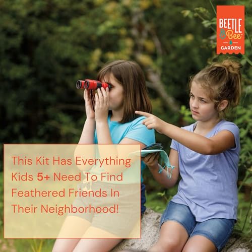 Beetle & Bee Bird Watching Kit For Kids 4x30 Binoculars Nature Toy Ages 5+ | Outdoor Explorer Gear, Backyard Birding Activities, Starter Observation Play, Travel Discovery Trips, Young Naturalist Gifts. - style: Little Birder Set