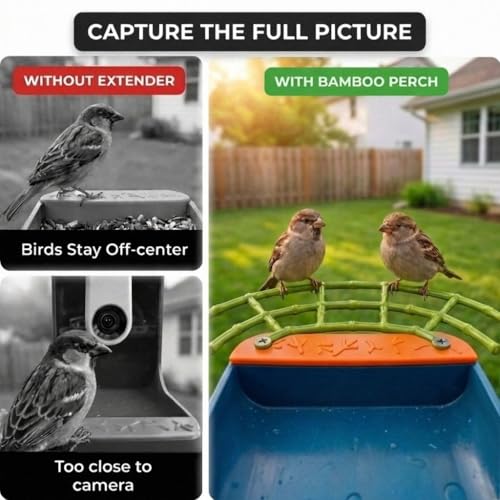 Bird Feeder Perch Extender Compatible with Bird Buddy, Bamboo-Style ABS | 9.21 x 4.33 x 0.43 in, two-screw mounting, dual side ports, wider landing area, improved full-body camera framing - color: Lime Green