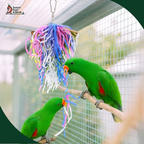 Sweet Feet and Beak Pizza Party Slice, 8" Bird Shredding and Foraging Toy | Food Grade Shred and Cardboard, Hanging Bird Toy with Nickel Chain and Quick Link. Hide Seeds, Pellets, or Treats, Bird-Safe