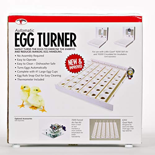 Little Giant® Automatic Egg Turner | 41 Eggs | Equipment for Incubating Large Eggs | Hatching Chicks