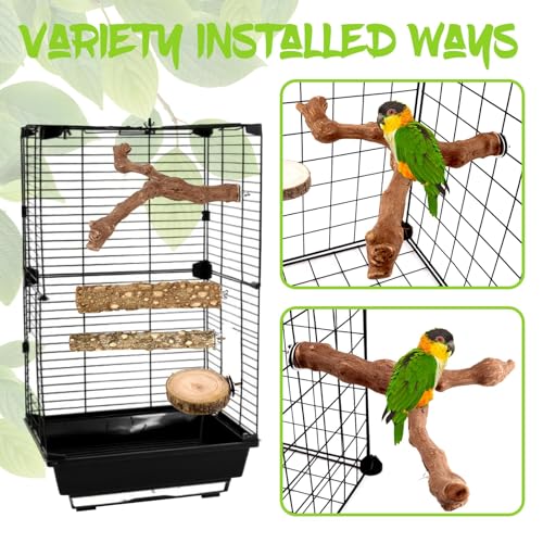 8 Pcs Natural Grape Wood Bird Perch & Platform Set for Cages | Ideal for Small/Medium Birds (Budgies, Conures) | Bark Textures for Foot Health | Tool-Free Wing-Nut | Safe Chewing - size: Natural Grapewood Variety Set - 8PCS