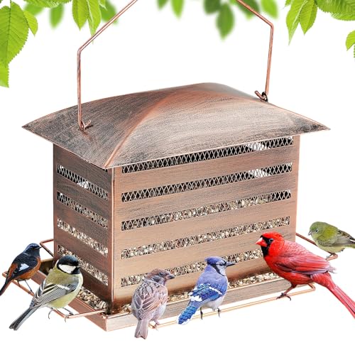 Bird Feeder, 6LB Large Capacity Metal Bird Feeders for Outdoor | Wild Birdfeeder, Heavy Duty, 4 Perches, Sturdy, Easy to Refill, For Garden Yard Outside Decoration - color: Rectangular, 6 lbs