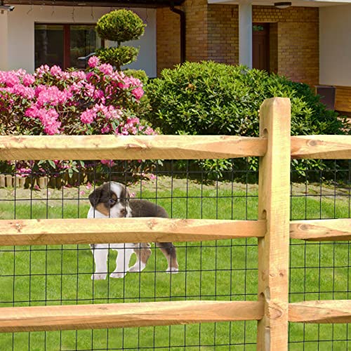 Black PVC Coated Welded Wire Fence 48" x 25' Roll, 2"x3" Mesh, 16 Gauge | Vinyl Coated Garden Fencing, Yard & Pet Barrier, Chicken Wire Fencing, Dog Enclosure Mesh, Vegetable Plant Protector - color: Black, size: 2''x3'' 16GA 48''x25'