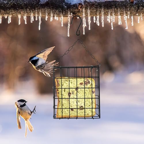 2-Pack Suet Feeder for Wild Birds, Hanging Bird Feeder Cage with Double-Latch, Heavy Duty Suet Holder for Cakes, Outside Suet Bird Feeder for Woodpeckers, Tits & Swallows