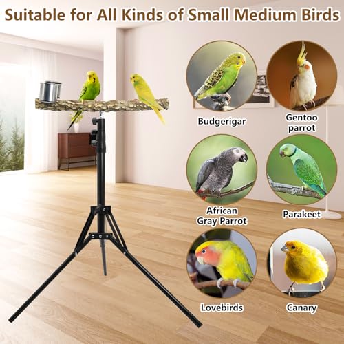 kathson 28-60inches Height Adjustable Bird Perch, Pepperwood Parrot Perch Stand with Feeding Cup, Multi-Purpose Bird Perches for Indoor and Outdoor Use, Designed for Small Medium Birds (3 PCS) - size: Bird Perch with Feeding Cup and Toy (3 Pieces)