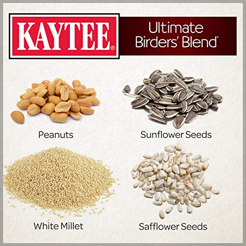 Kaytee Ultimate Birder's Blend Food,Wild Bird Seed for Grosbeaks,Cardinals,Nuthatches,Woodpeckers & More Outside Feeders,10 Pound,(Pack of 2) - size: 160 Ounce (Pack of 2), style: Birder's Blend