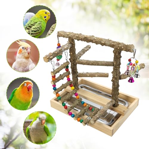 BNOSDM Natural Wood Bird Playground for Training & Playing, Parrot Perch Stand Jungle Gym with Hanging Bridge & Detachable Tray Parakeet Cage Playstand for Budgie, Cockatiel, African Grey - color: Bird Stand with Bridge