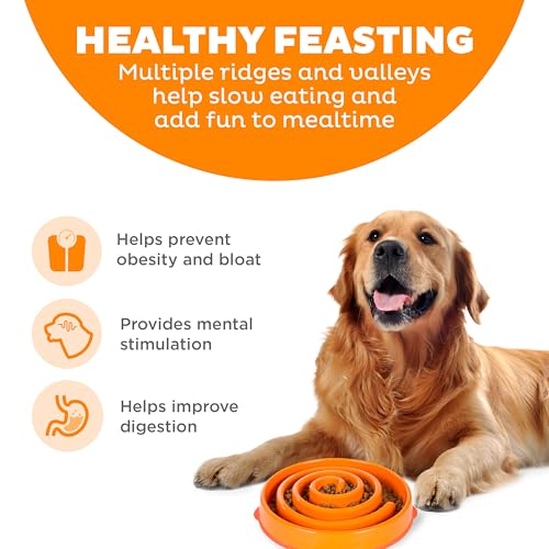 Outward Hound Fun Feeder Slo Bowl – Large 4‑Cup Capacity, Slow Feeding, Medium to Large Dogs, Non‑Slip, Orange, Swirl Pattern - color: Orange, size: Large