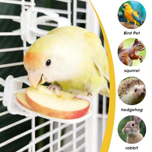 12 Pack Bird Skewers, Bird Kabob Fruit Vegetable Holder for Parrots Conure Cockatiels, Metal Bird Cage Feeder Clips with Hooks, Foraging Toys Supplies - color: white 12pcs