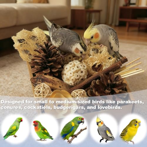 Bird Toys - Sola Ball Foraging Box, 10 Natural Ingredients | Chewing and Shredding Parrot Toys | Ideal for Parakeets/Cockatiels/Conures/Lovebirds and Small to Medium Birds - size: Sola Ball Foraging Box