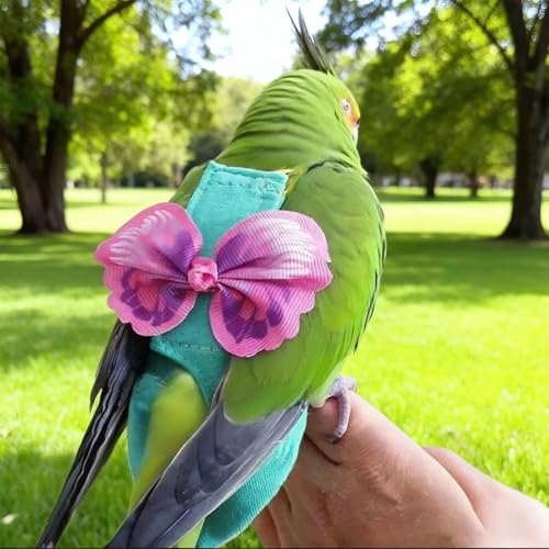 Escape-Proof Parrot Harness & Leash Set with Diaper - Adjustable Flight Suit with Bow & Safety Cord for Conures, African Grey, Parakeets, Doves (Pink-M) - size: Pink bow-M
