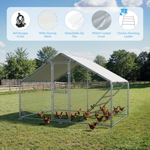 Large Metal Chicken Coop, Outdoor Chicken Run with Cover, 10 x 6.5 x 6.5 FT | Heavy-Duty Poultry Enclosure & Chicken Pen with Split Doors, Galvanized Steel Frame, Free Wire Mesh Fence and Roosting Ladder - size: 10' x 6.5'