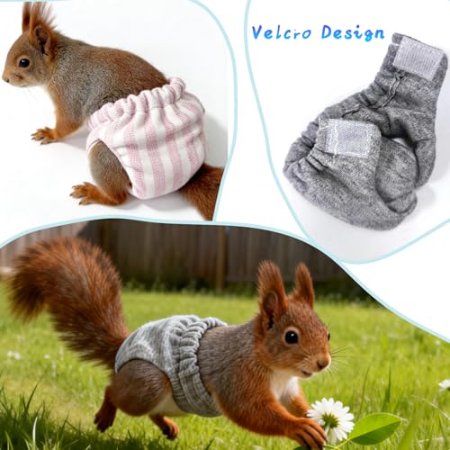 3 Pcs Washable Squirrel Diapers, Reusable Squirrel Diaper, Highly Absorbent with Adjustable Waistline Diapers for Squirrels, Guinea Pigs, and Small Sugar Gliders (3.9" - 6.3", S)