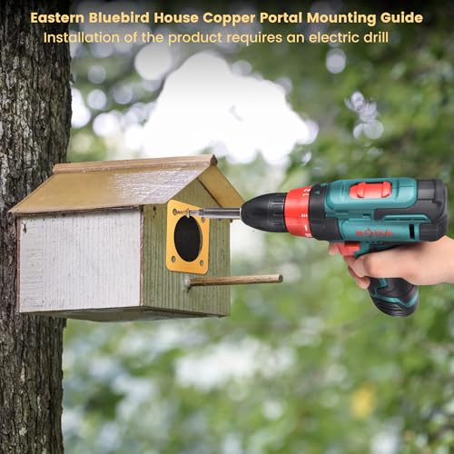 Birdhouse Predator Guard, Helping Reduce Nest Destruction and Enhance Safety for Bird Chicks, 4 Pack, 1 1/4" (1.25in) - size: 1.25 inches