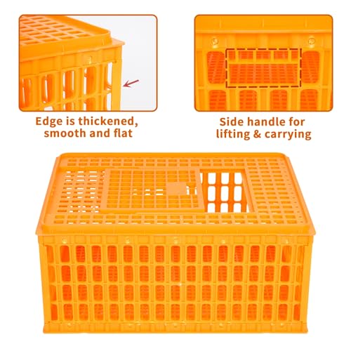 lukar 1 Piece Poultry Carrier Crate Heavy Duty Chicken Transport Cage | Plastic Chicken Carrier Crates Transport Box for 10-13 Adult Chickens Duck Goose Birds, 29.5 x 21.7 x 13 Inch