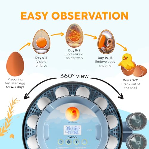 18 Egg Incubator with Automatic Egg Turning and Humidity Control – Egg Incubators for Hatching Eggs – Egg Candler, Water Bottle Refill, Air Vent, 360° View – Incubadora de Huevos de Gallina