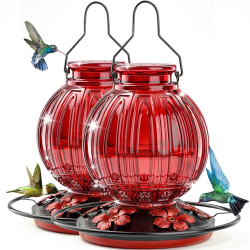2PC Glass Hummingbird Feeder for Outdoor Hanging, 26 oz Bird Nectar Feeder | 5 Metal Flower Feeding Ports, 360° Perch Ring, Easy Refill & Clean, Leakproof, Ideal for Backyard, Garden Outdoor Decor, Red - color: Red + Red