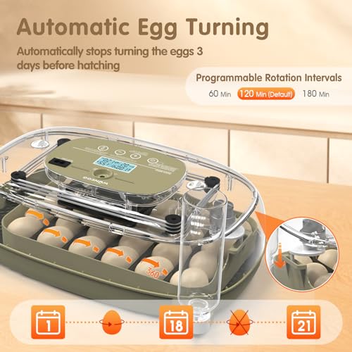 Incubators for Hatching Eggs Egg Incubator Chicken 360° Egg Candler Viewing for Chicken, Ducks, Goose, Pigeon, Quail 24 Eggs