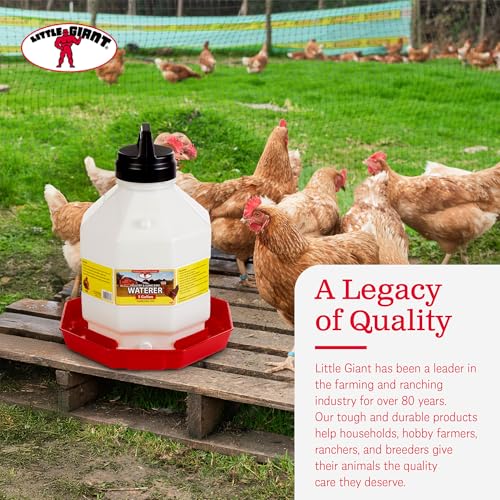 Little Giant Plastic Poultry Waterer