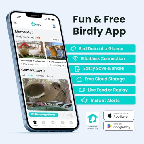 2 Smart Bird Feeder with Camera, Dual-Lens (2K+1080P) Camera for Live Streaming & Close-Up Photos, AI Identifies Bird Species, Solar-Powered Backyard Birdwatching Gift