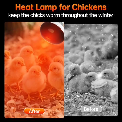 LUCKY HERP Heat Lamp for Chickens, 250 Watt Red Heat Lamp Bulbs, Infrared Heat Lamp for Chickens, Chicks, Reptile, Pets, Brooder Coop, Poultry (1 Pack) - size: 250*1