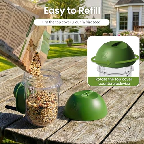 ‌LONA 1Pack Tube Bird Feeders, Weatherproof Design with 1 Feeding Port | Easy-fill Top Design, 2 Ways for Hanging, Suits Mixed Seeds, Squirrel-Proof Bird Feeder for Backyard/ Garden/ Patio, Green - size: 1 Port