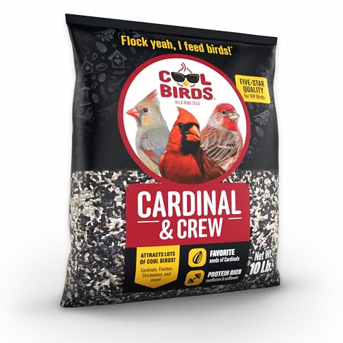 Cool Birds Cardinal & Crew Wild Bird Seed, 10 lb | Black Oil Sunflower, Sunflower Hearts & Safflower Blend for Cardinals, Grosbeaks & Chickadees – Bird Food for Outside Feeders
