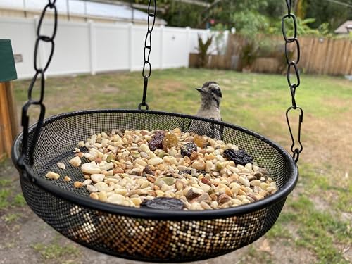 Hanging Bird Feeder, Birdfeeder Hanging for Garden Yard Outside Hanging Bird Feeder Tray - Metal Mesh Platform Feeders for Birds Outside Outdoors Hanging for Attracting Birds, 1Pcs - size: 1 Pack