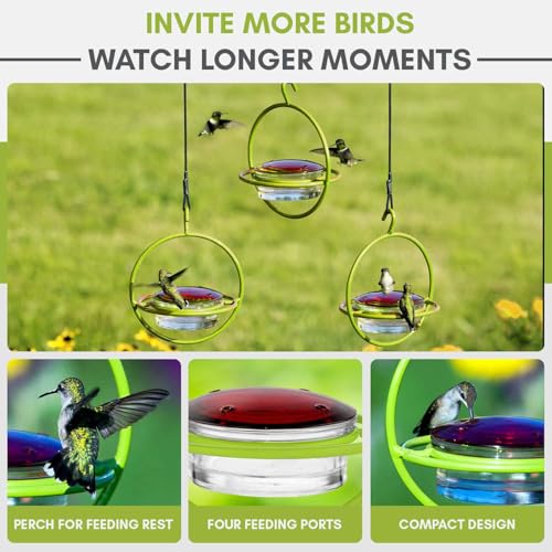 Hummingbird Feeder for Outdoors Hanging, 3.4 OZ Hummingbird Feeders, Glass Bowl with 4 Feeding Ports, Leak Proof Lid & Circular Perch, Bird Feeder (1, Lime) - color: Lime