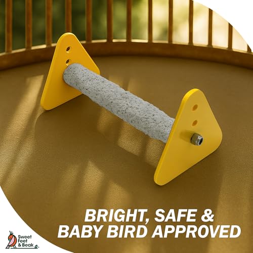 Sweet Feet and Beak Baby Weaning Stand, Medium Training Bird Perch | 3 Adjustable Heights, Training & Play Stand, Easy to Clean, Handmade in USA, For Baby Finches, Canaries & Small Budgies - size: Medium