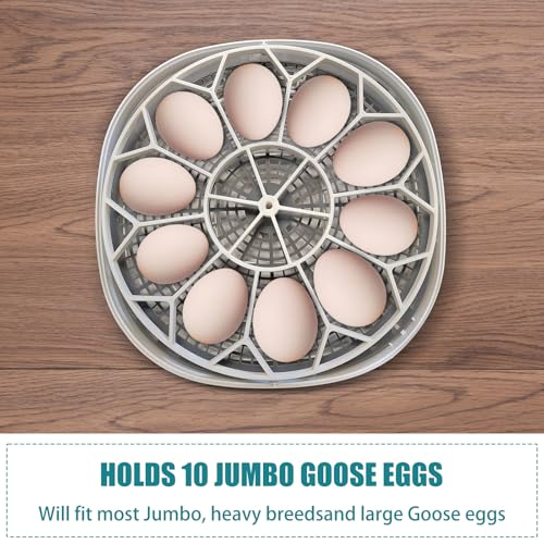 JGT360 Goose Egg Tray Fits Nurture Right 360 Incubator For Jumbo Goose Eggs | Maximum Capacity 10, Allows Easy Cleaning, Improve Hatch Rates, Quick Installation and Removal