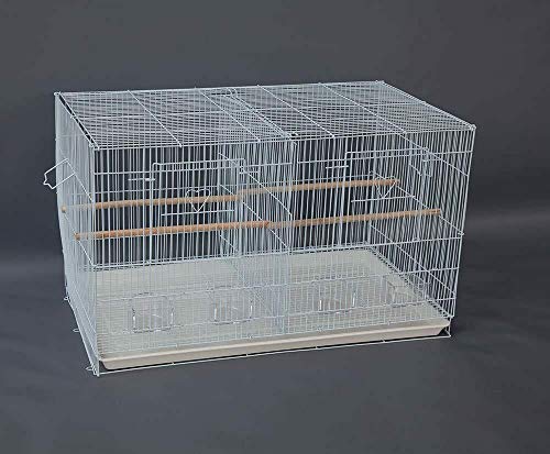 Seny Lot of 4 Breeding Bird Carrier Cage with Dividor for Parakeet Canary Finch Lover Bird (White) - color: White