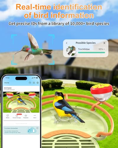 Bird Feeder with Camera, 2K HD Camera Birds Feeder with AI Bird Recognition, Solar Powered Smart Birdfeeder with Bath, App Control, Color Night Vision, Gift Box Package, Easy Install - color: Green, size: Bath