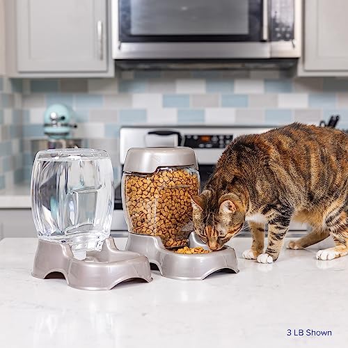 Petmate Pet Cafe Feeder Dog and Cat Feeder Pearlescent Colors 3 Sizes, Made in USA - color: Pearl Silver, size: 3 lb