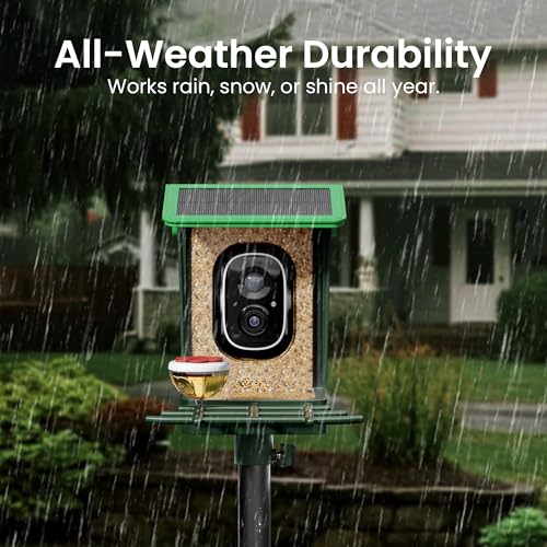 Bird Feeder with Camera Solar Powered 2K HD Video, 10,000+ Species AI Recognition, Real-Time App Alerts, and Weatherproof Design for Effortless Birdwatching, Gift for Bird Lovers, Grass Green - color: Grass Green