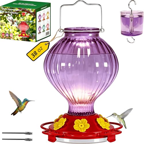 Glass Hummingbird Feeder for Outdoors Hanging, 38 oz Nectar Capacity, 6 Feeding Ports, Leak-Proof Rust-Free Plastic Base, Easy to Refill & Clean, Decorative Purple Glass Bird Feeder for Garden Patio - color: Purple, size: 38 Fluid Ounces