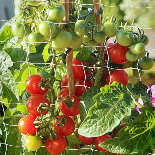 Heavy Duty Garden Trellis Netting, 6 x 15 ft, White, Rectangular, Polyester Nylon, Climbing Plant Support Netting, Garden - size: 6x15ft - 2 Pack