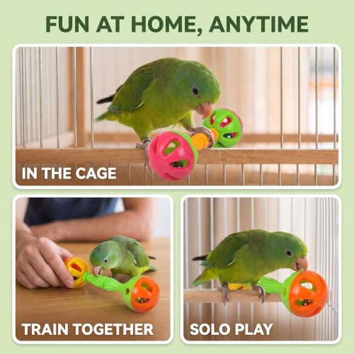 2 Pcs Bird Parrot Toy Rattle Birds Fun Exercise Plastic Double-Headed Bell Pet Toys Small and Medium Birds Foraging Foot Toy,Bird Toys, Pet Supplies