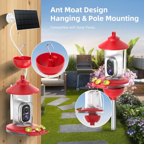 SOLIOM Hummingbird Feeder with Camera, Solar Powered 2K Smart Bird Feeder with AI Bird Identification, Auto Motion Detection, Ant Moat & Pole Mount, Ideal Gift for Hummingbird Lovers, 20 oz