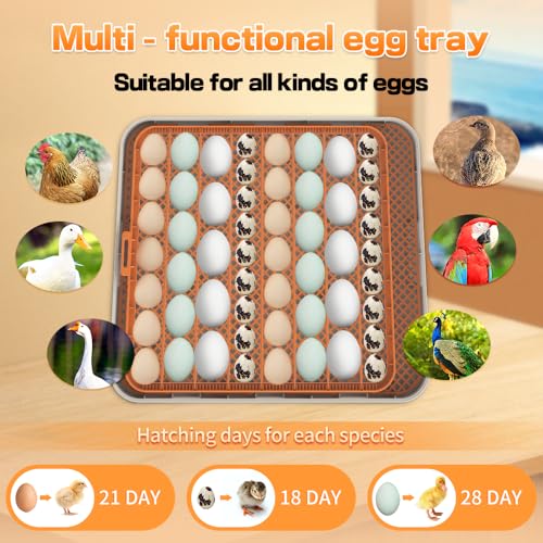 HOWOOlUA 56 Egg Incubator for Hatching Eggs with Auto Turn, Temp & Humidity Control, Built-in Candler Large Capacity Egg Incubator for Chicken Duck Goose Eggs - size: 56-EGGS