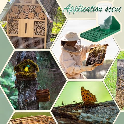 Bee Water Dispenser, Wall or Tree Mounted, for Bees, Butterflies, Hummingbirds and Insects, Green, 2 Pack