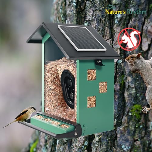 Bird Feeder Squirrel-Proof Bird Feeder with Camera Watch the Birds Feed