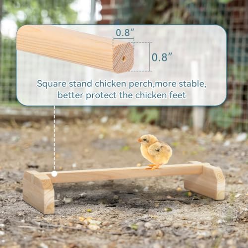 PETSFIT Baby Chick Roosting Bar, Anti-Rotation, Solid Wood, for Brooder | Fits Chicks and Small Birds, Thickened Wooden Perch, Safe for Brooder and Coop, Easy to Assemble and Clean, Non-Toxic Wood