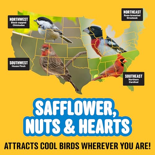 Cool Birds Safflower, Nuts & Hearts Wild Bird Seed, 10 lb | Gourmet Bird Food with Safflower, Sunflower Hearts & Peanuts. No Corn, Milo or Millet, No Waste Bird Food for Outside Feeders