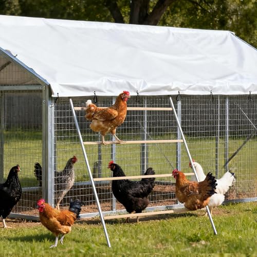 Large Chicken Roosting Bars, 55 Inch Chicken Perch for Coop with Metal Frame, Sturdy Roosting Ladder for Hens, Chicken Coop Accessories and Toys for Backyard Poultry, Easy to Clean - size: 55" L x 40" W