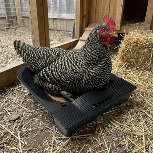Roll Away Nesting Box for Chicken Coop with 3 Coconut Fiber Nesting Pads,Hen House Accessories,Black (1Pack) IVAHOU 鸡舍用可移动产蛋箱，带 3 个椰纤维产蛋垫，鸡舍配件，黑色（1 件装）